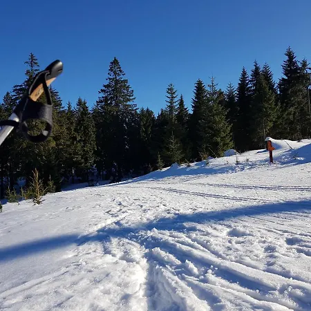 Lägenhet Samodzielny Apartament W Stroniu Slaskim